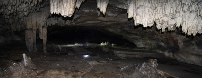cave tour in georgia